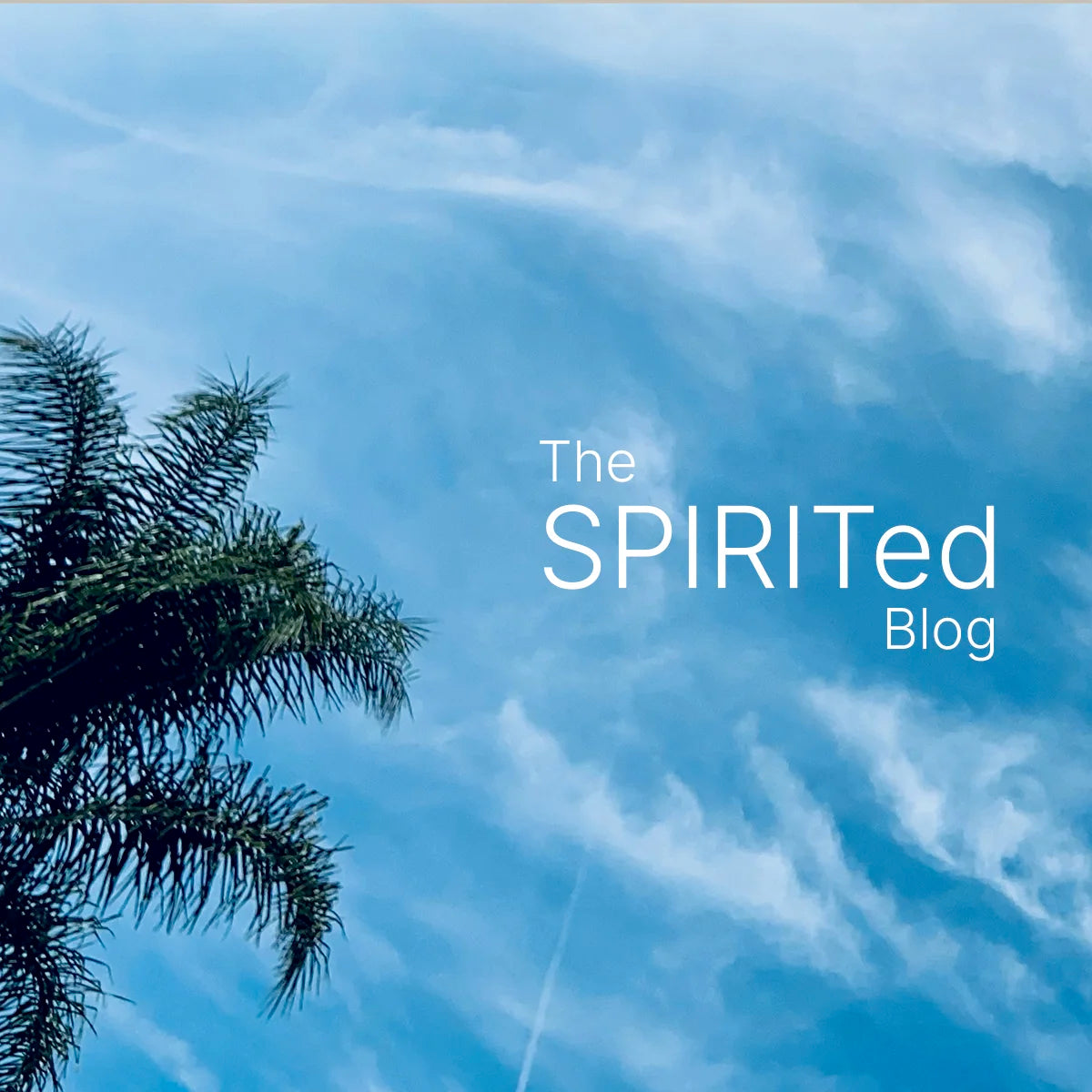 Blue Sky with the words "The SPIRITed Blog"