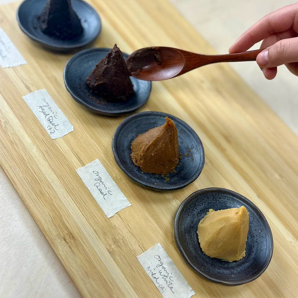 SPIRIT Almond - multiple test dishes containing different shades of miso