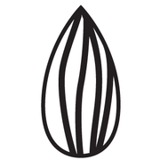 logo of SPIRIT ALMOND | All Natural Japanese Flavored Almonds